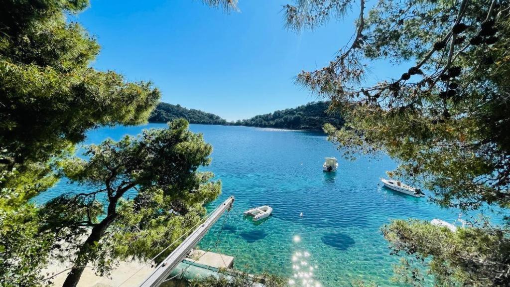 Lovely Apartments On The Private Beach - Island Korcula Prizba Exterior photo