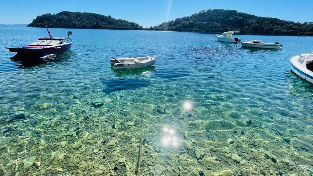 Lovely Apartments On The Private Beach - Island Korcula Prizba Exterior photo